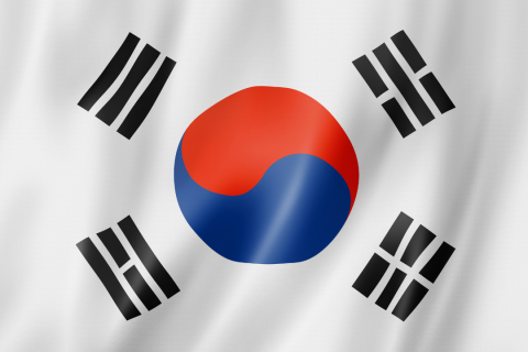 The South Korean flag waving in the wind.