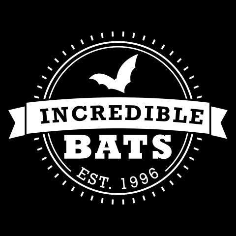 incredible bats logo