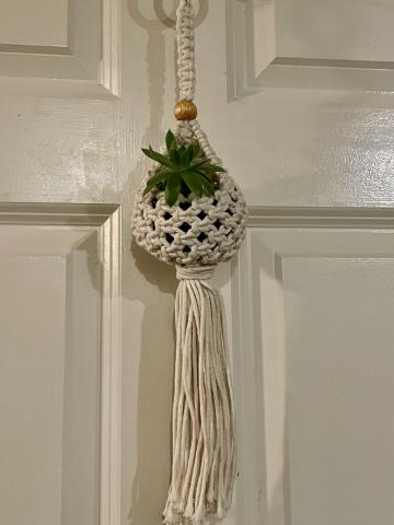 Small pod-shaped macrame plant holder with succulent