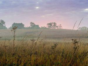 Picture of the Illinois prairie at dusk