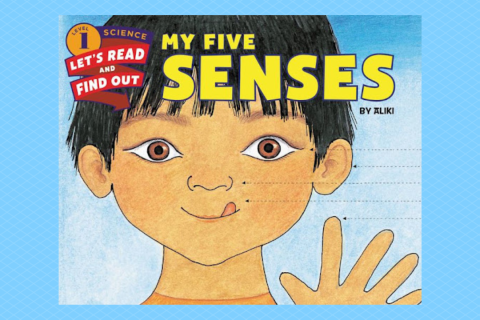 Book cover for "My Five Senses"