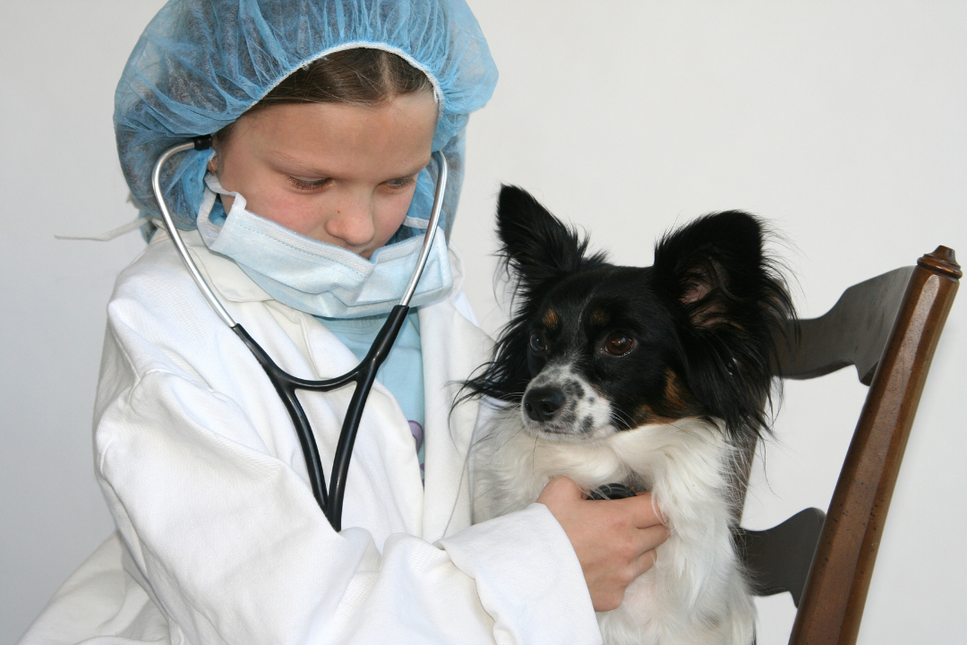 A child in scrubs, hair net, mask, and stethoscope checks on a dog.