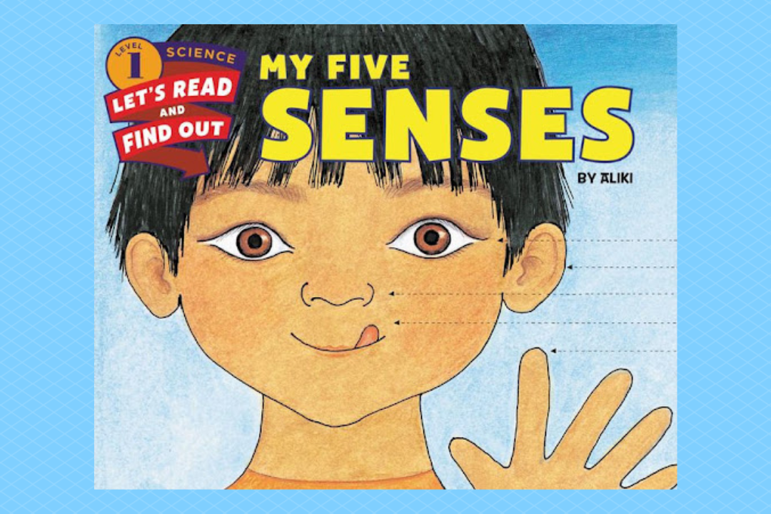 Book cover for "My Five Senses"